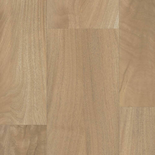 1041 – KING MAHOGANY