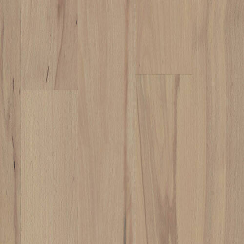 1082 – RUBENS BEECH