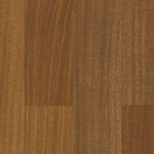 1102 – LEBANON CEDAR