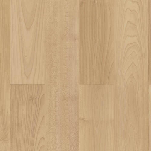 1110 – ROSSINI MAPLE