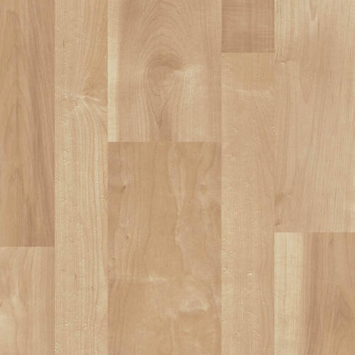1179 – MOONSHADOW MAPLE