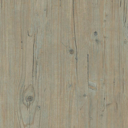 1210 – WASHINGTON PINE