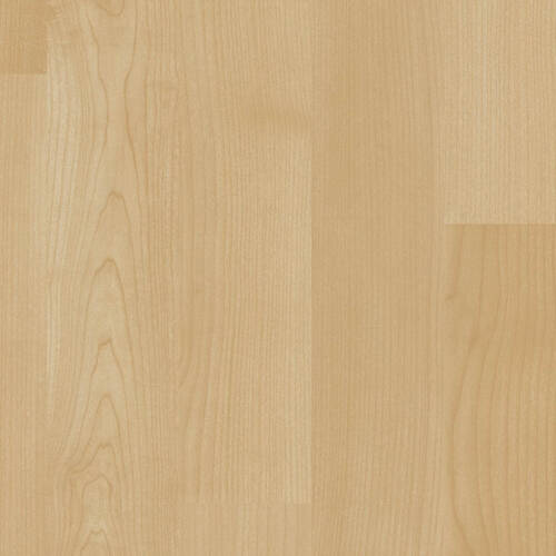 1226 – YOHO MAPLE