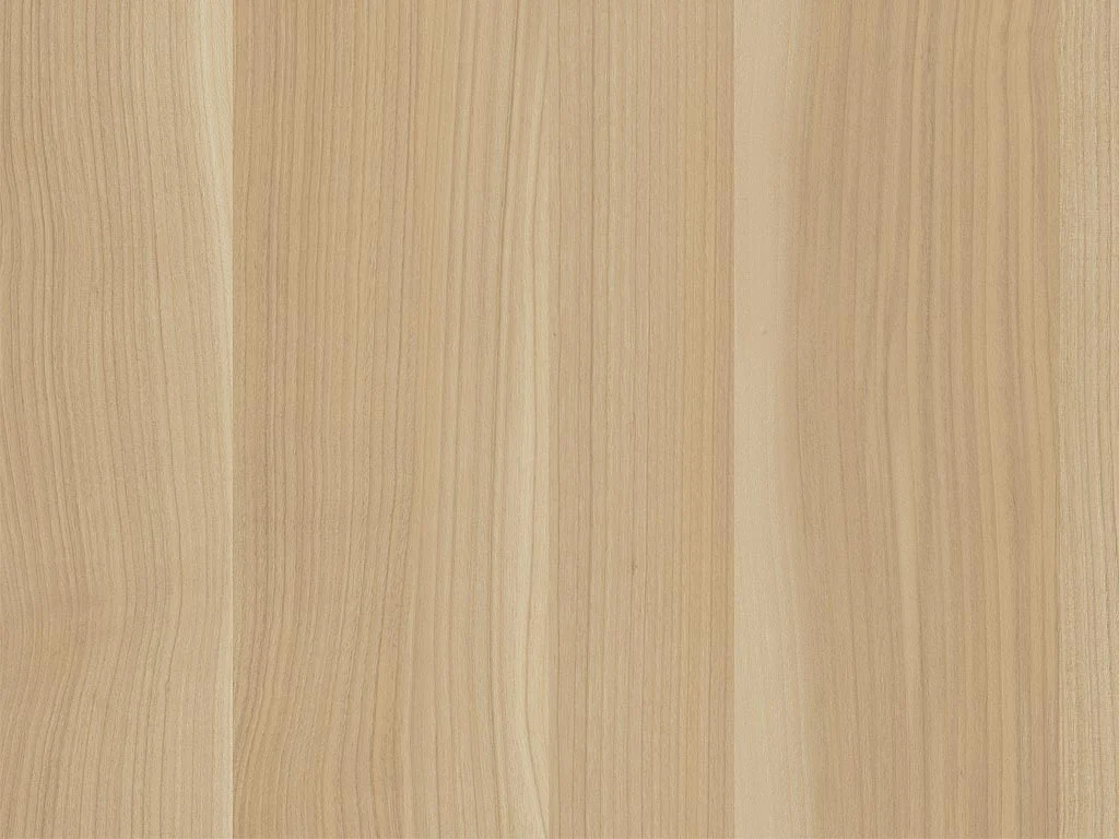 1463-d005