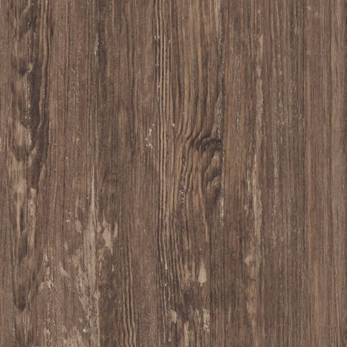 1495 – COLONIAL PINE