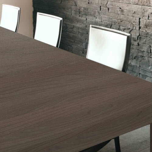 1501 – PRIMEVAL BEECH