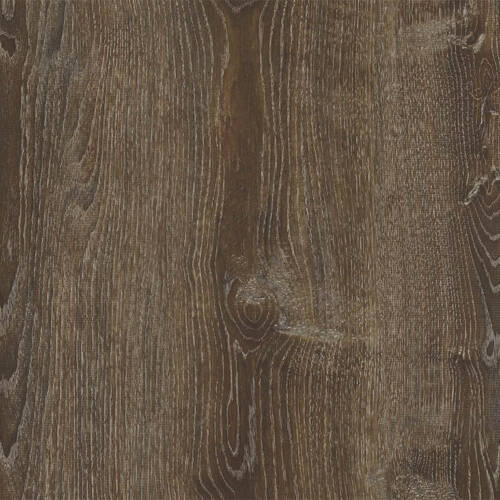 1543 – CERDANYA OAK