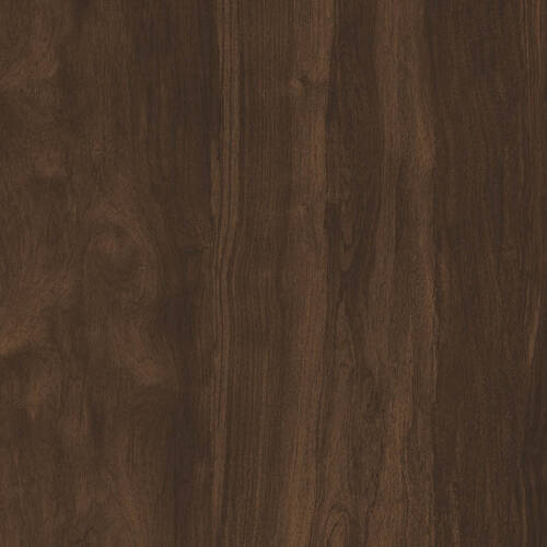 1552 – PRECIOUS WALNUT
