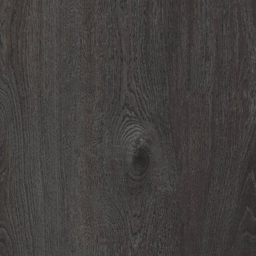 1566 – BELLE EPOQUE OAK