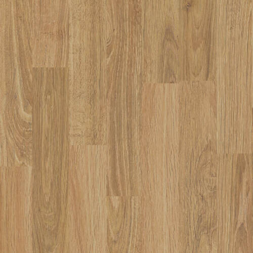 1625 – IMPERIAL OAK