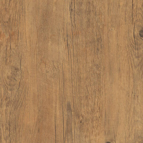 1642 – CINQUECENTO PINE