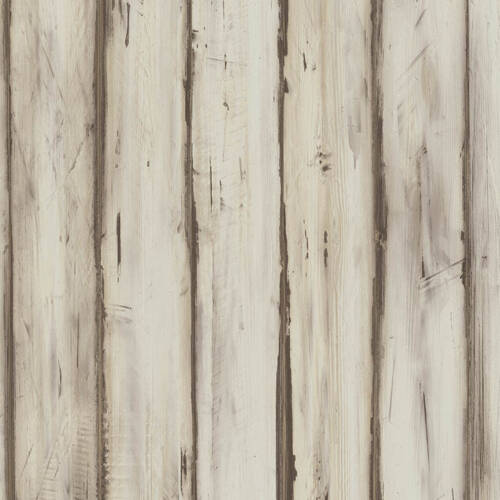 1688 – MARITTIMO PINE