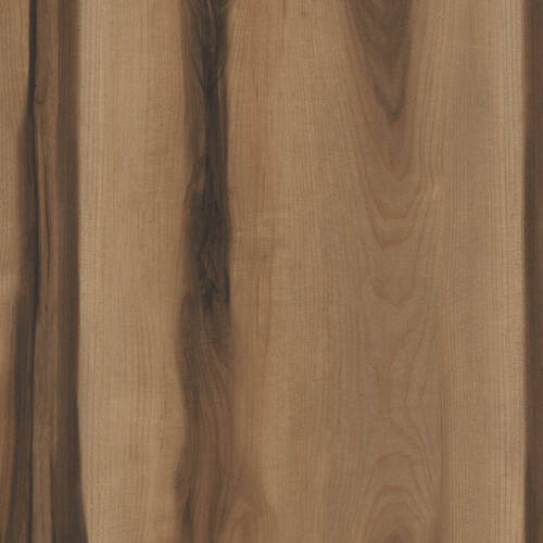 1689 – DUNES MAPLE