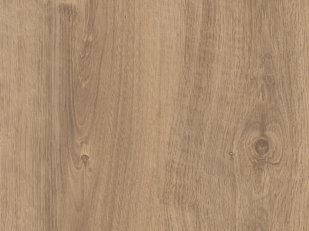 1696-d002