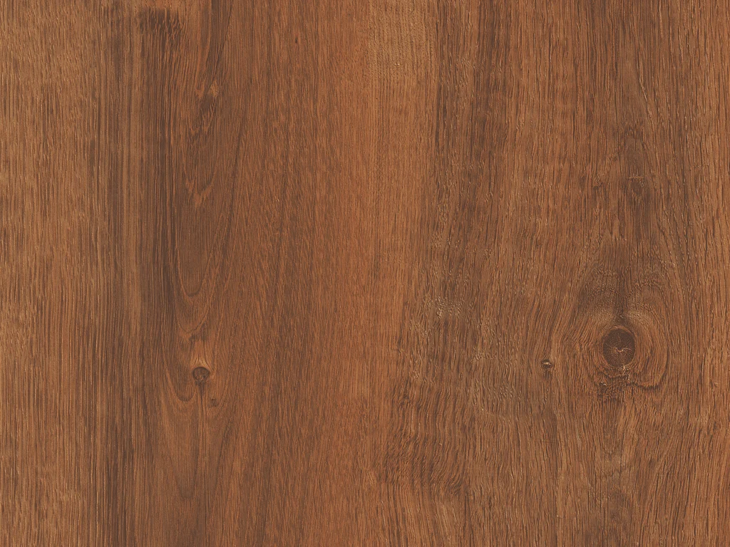 1696-d005