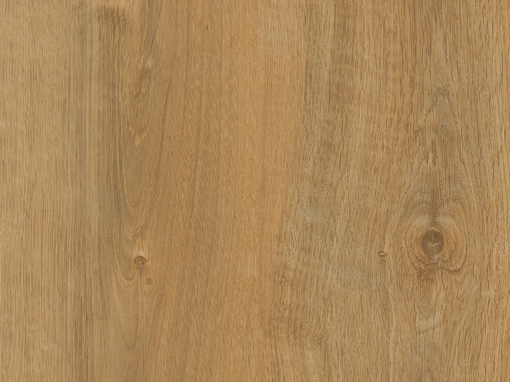 1696-d006