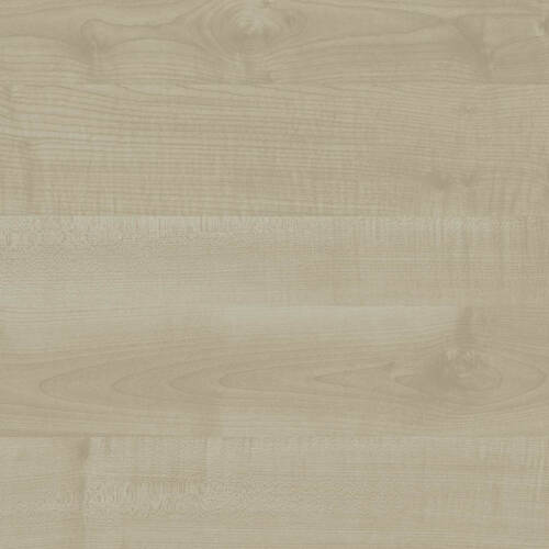 1701 – MAPLE (T)