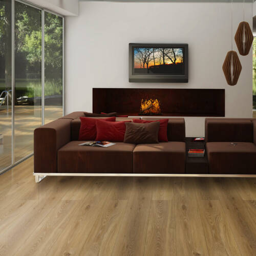 1788 – BACCHUS OAK