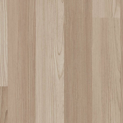 1842 – BLACK SEA PINE