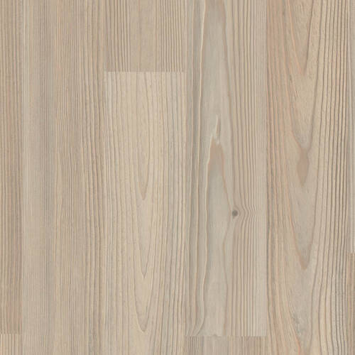 1846 – HAMMAM PINE