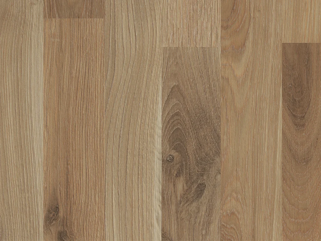 1854-d006