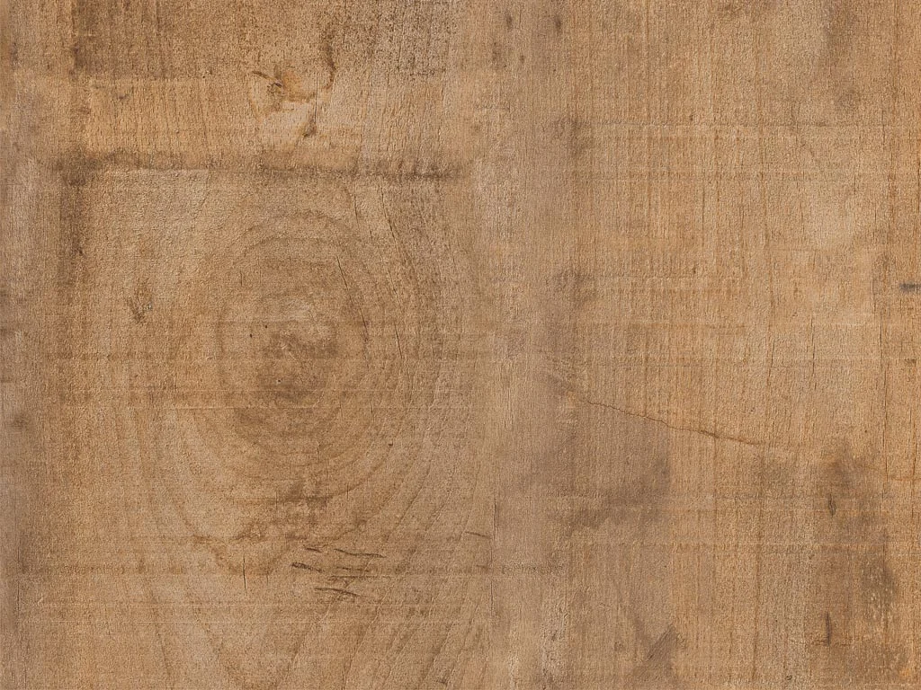 1859-d005