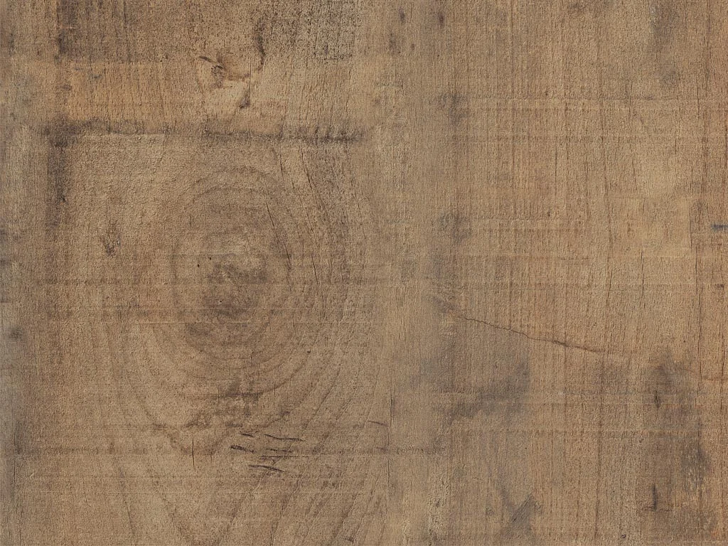 1859-d013