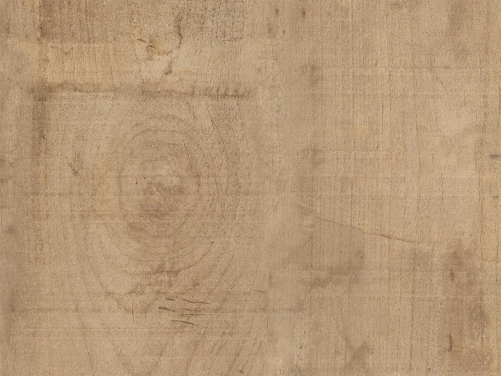 1859-d014