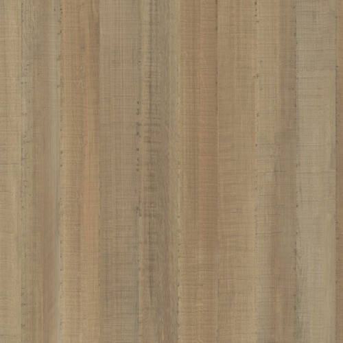 1861 – INDIAN OAK