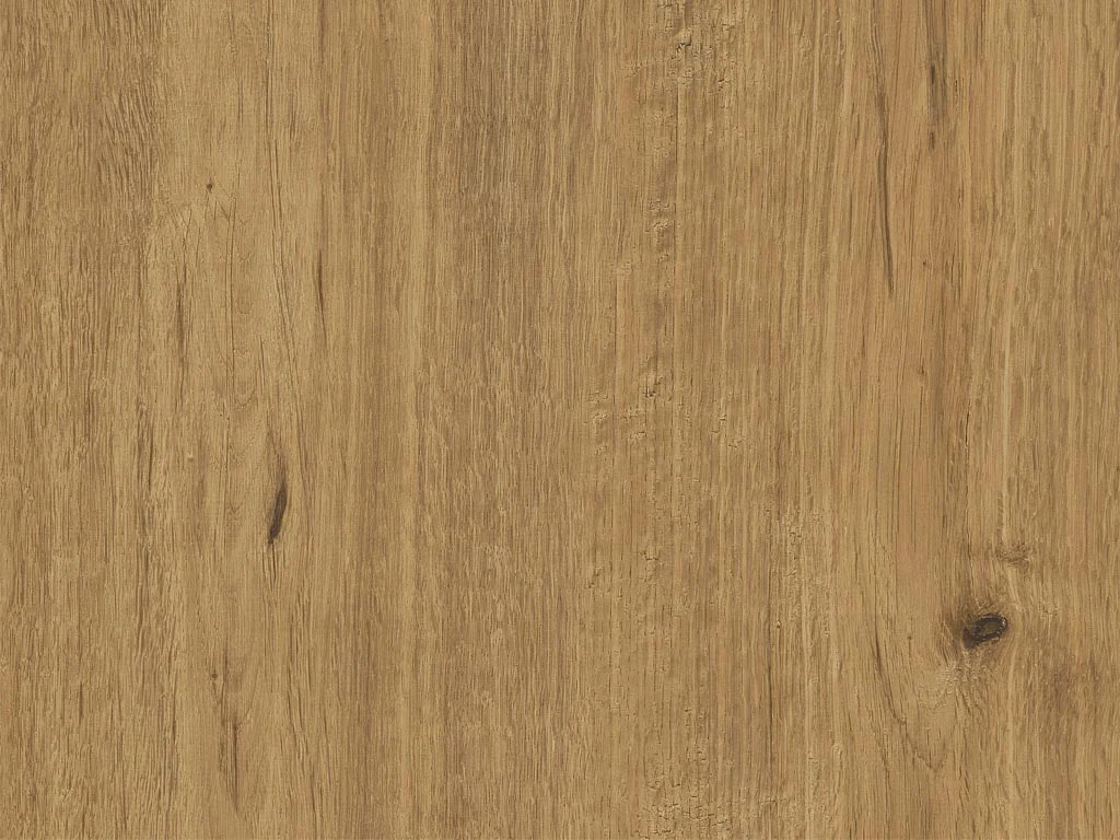 1869-d024