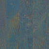 1876-d013