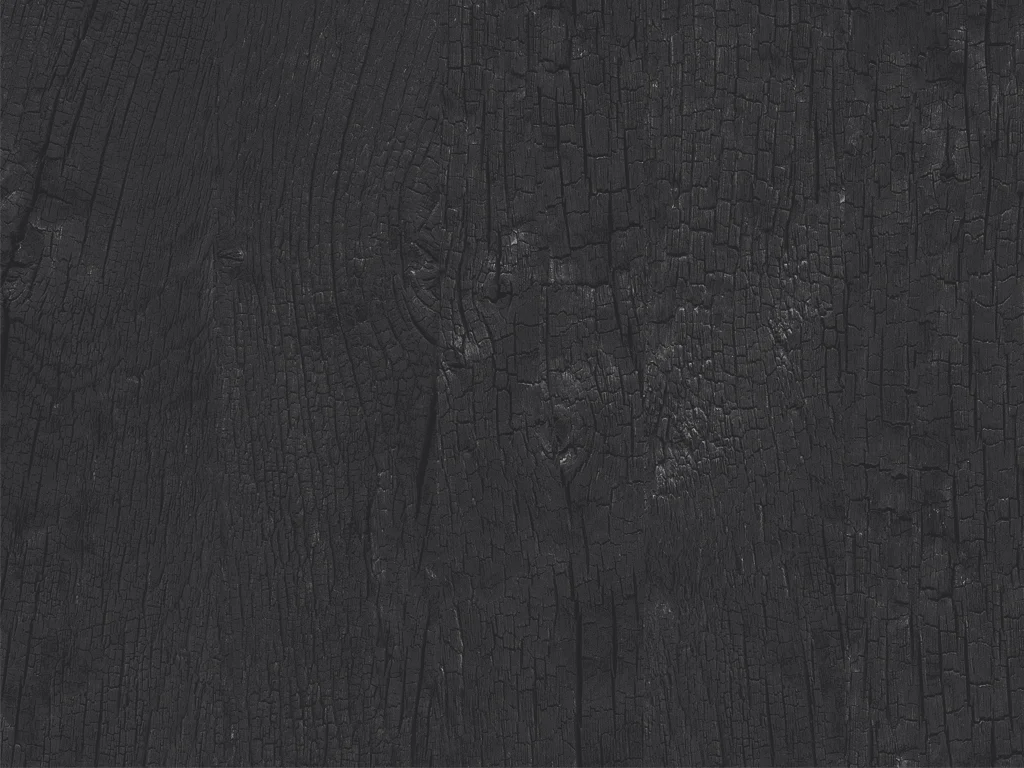 1876-d036