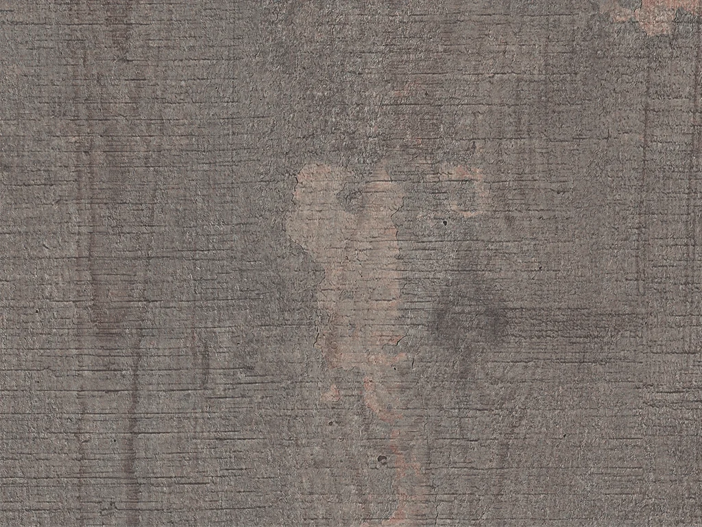 1877-d020