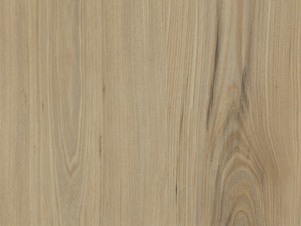 1880-d003