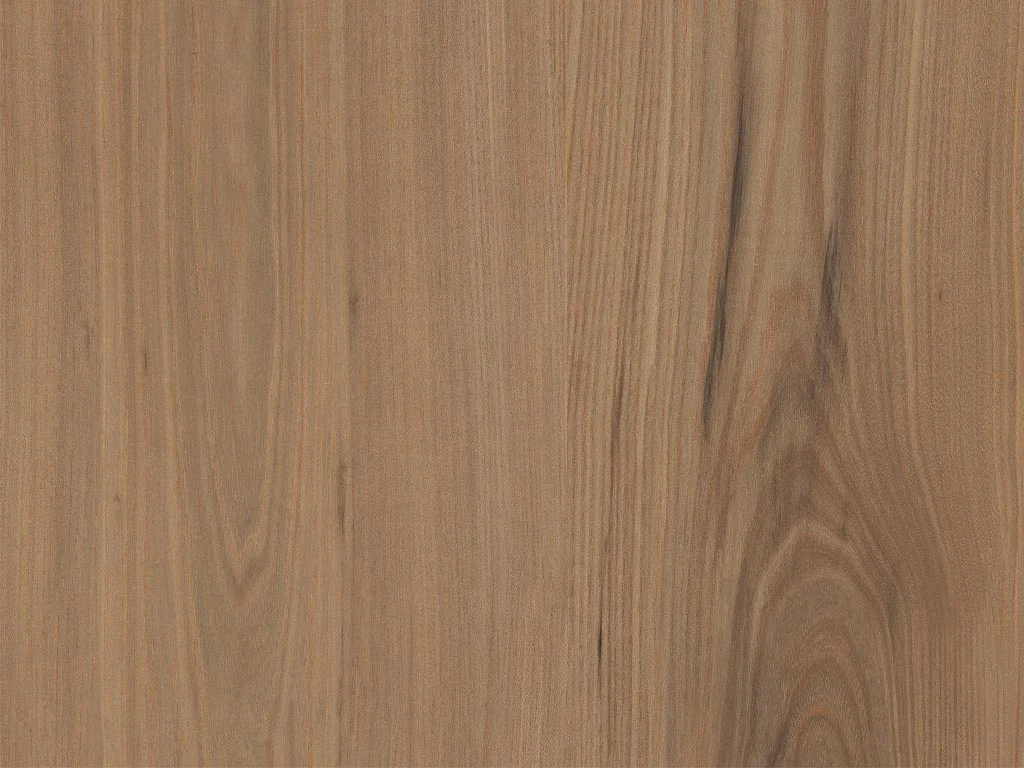 1880-d005