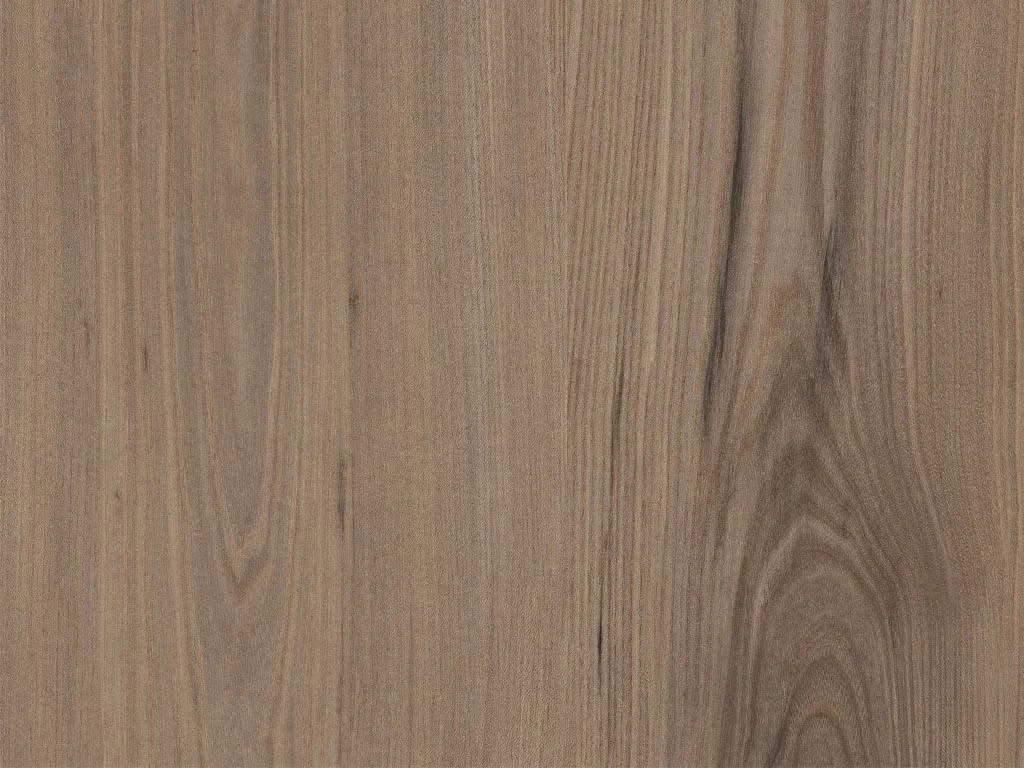 1880-d006