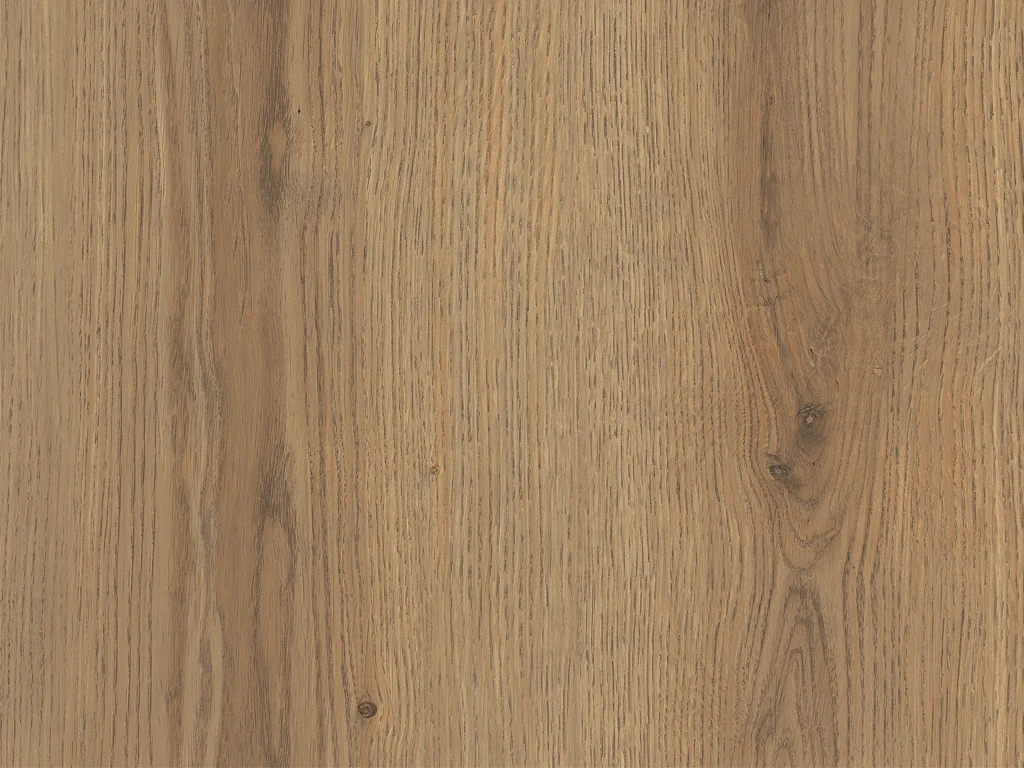 1881-d005