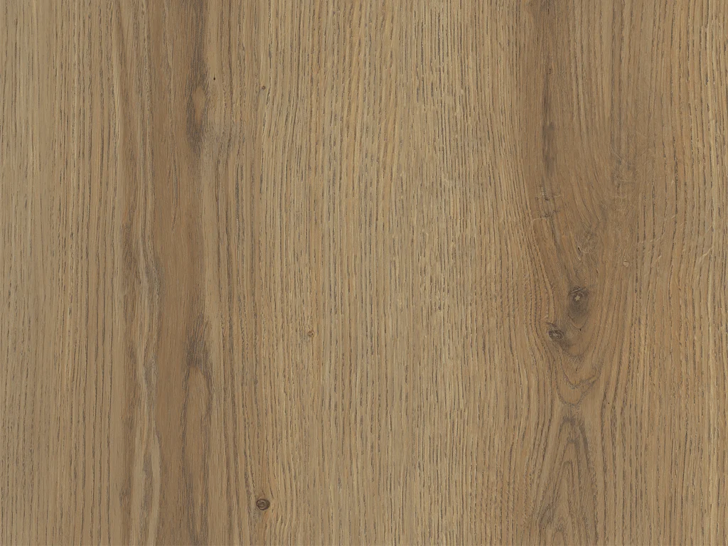 1881-d007