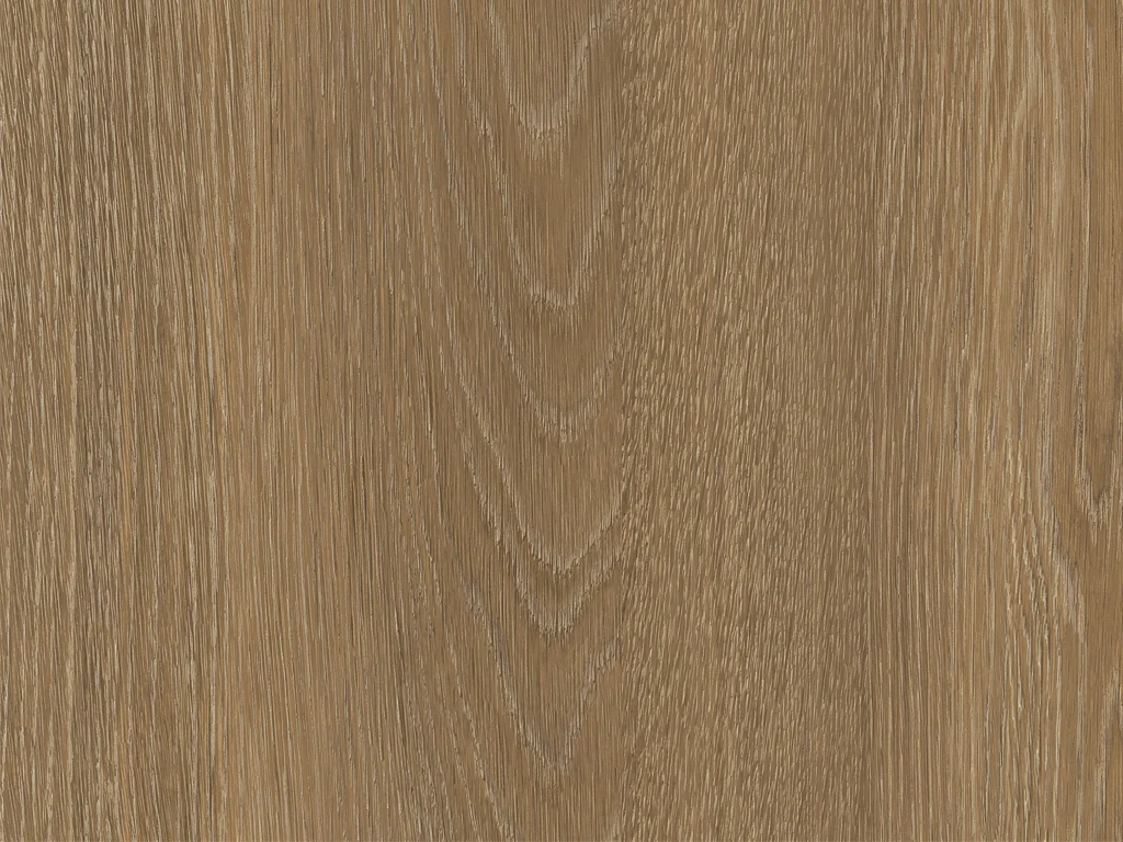 1882-d064