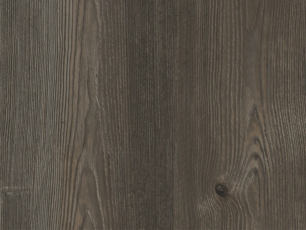 1884-d019
