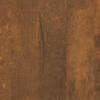 1885-d019