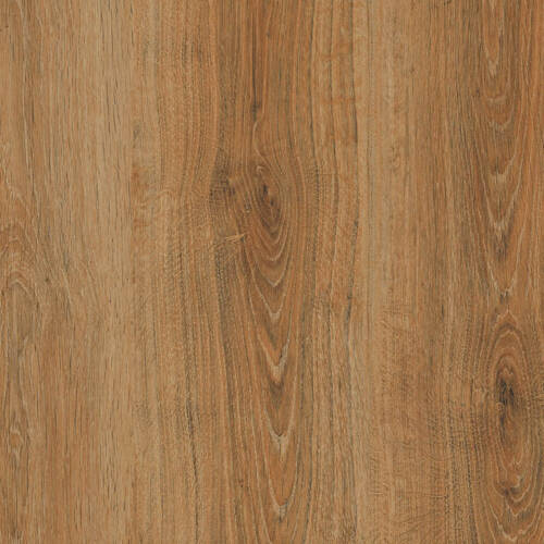 1893 – VICTORIAN OAK