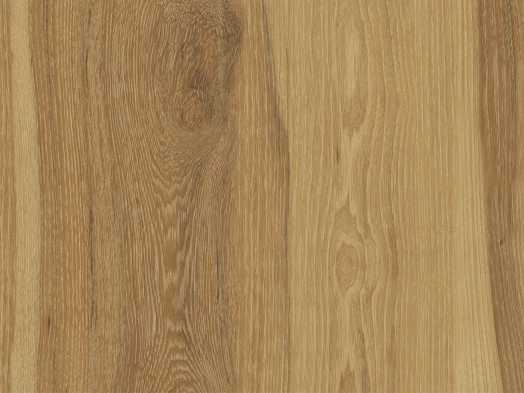 1910-d002