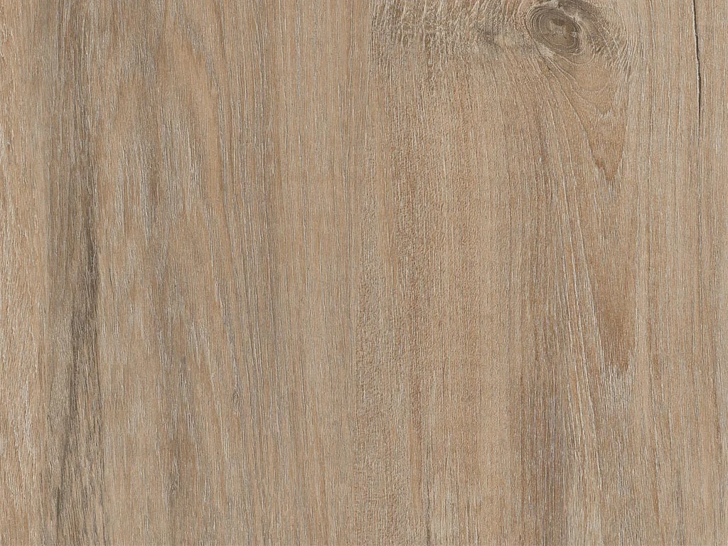 1916-d004