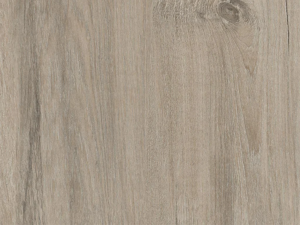 1916-d006