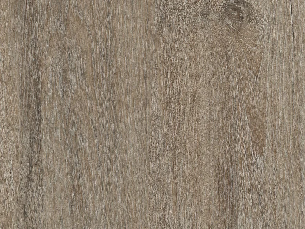1916-d007