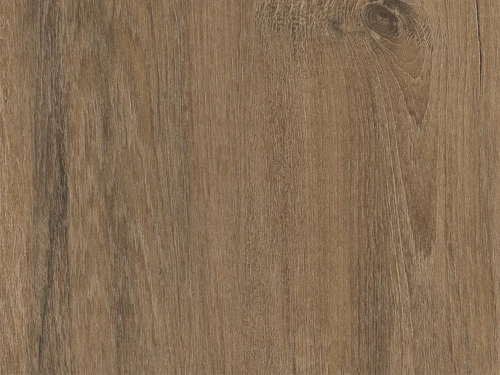 1916-d008