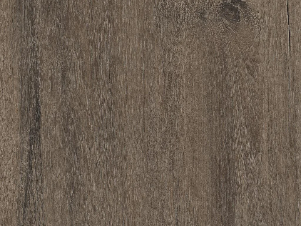 1916-d009