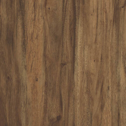1951 – AMAZON ACACIA 2