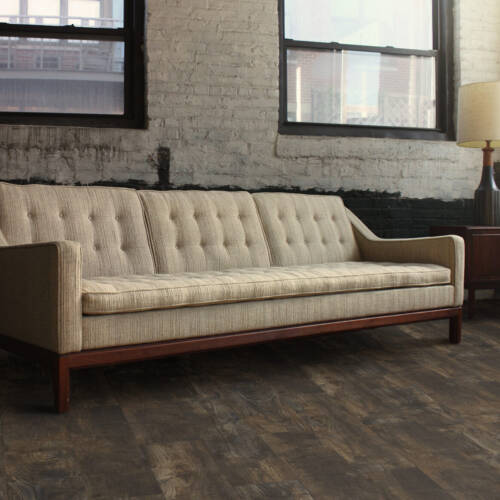 1954 – MIDNIGHT CHESTNUT